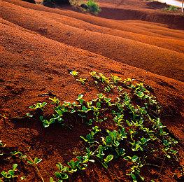 冒险游戏《AKA》将于今年Q4发售 登陆Switch和PC